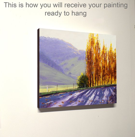 Autumn poplar Trees Landscape