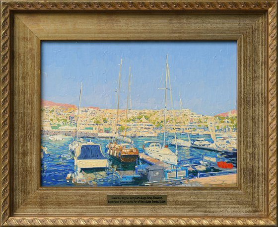 Yachts in the port Costa