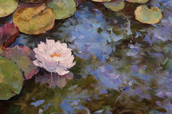 "Water Lily Symphony"
