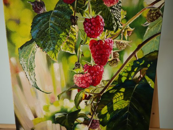 Ripe Raspberries on Branch