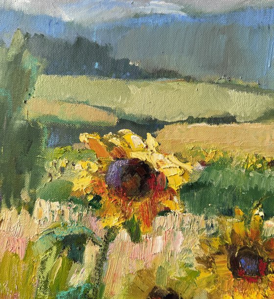landscape of a field with sunflowers