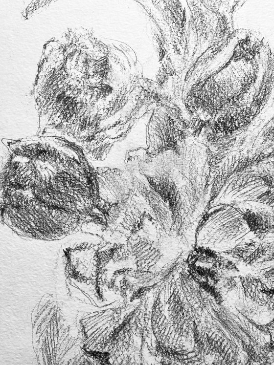 French tulips #2 . Original pencil drawing. 2020