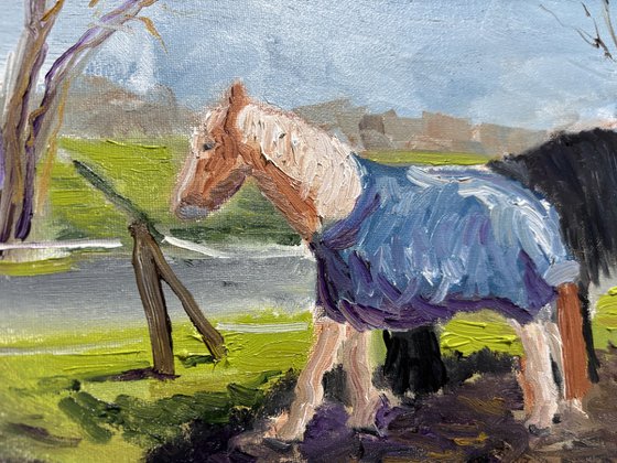 Grazing Horses in the Dutch Countryside