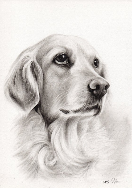 Oil painted portrait of Julia, golden retriever