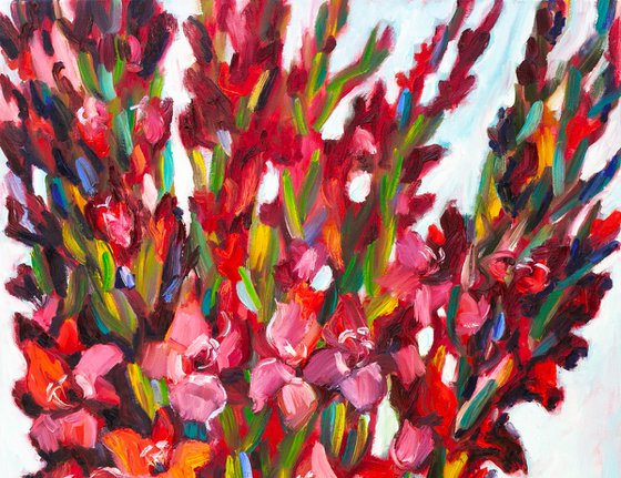 Gladioli
