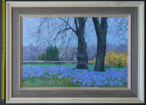 Blue primroses