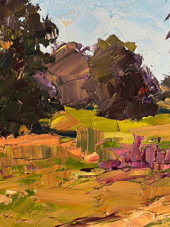 In the Summer Meadows