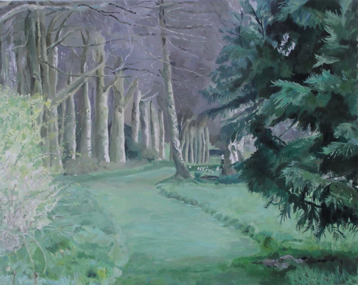 Enchanted Forest by Sally Lawson