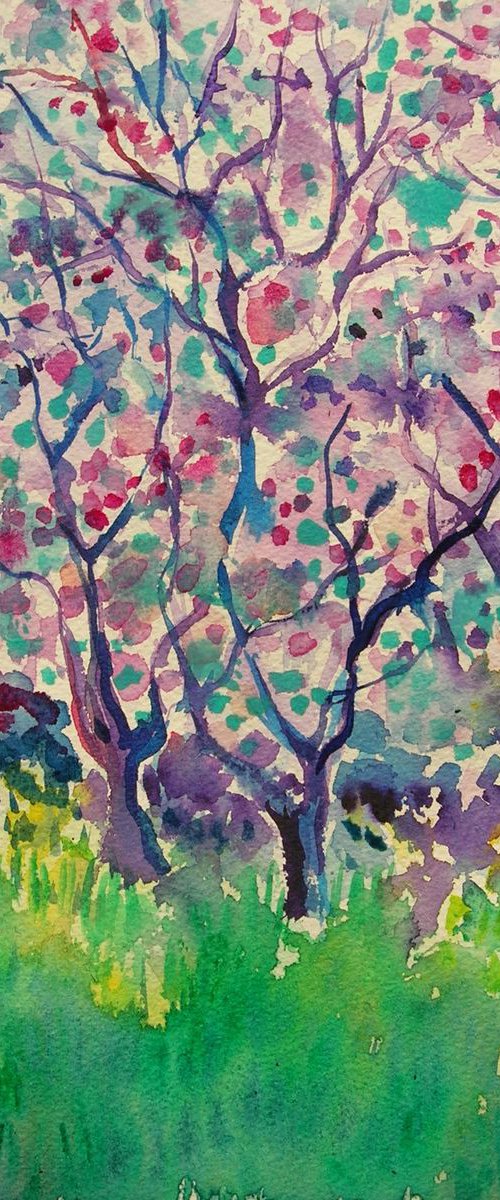 Peach blossom by Maja Grecic