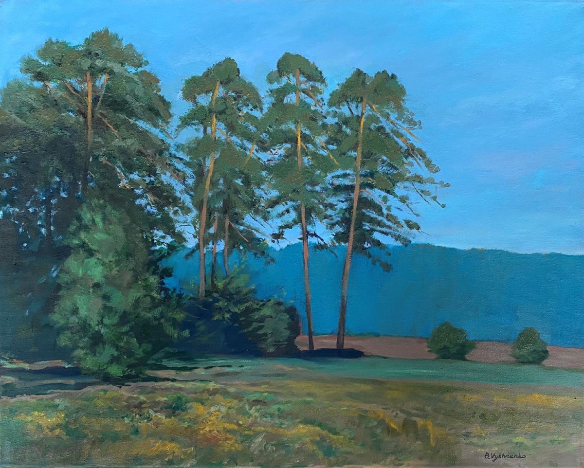 Impressionistic Landscape Oil Painting By Bohdan Vykhrenko, 20 X 16, Pinewood, Original Artwork