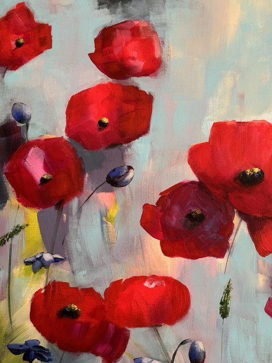 Poppies Land 12