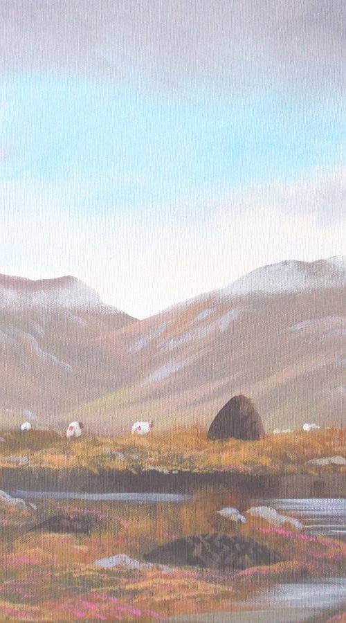 connemara bogland by cathal o malley