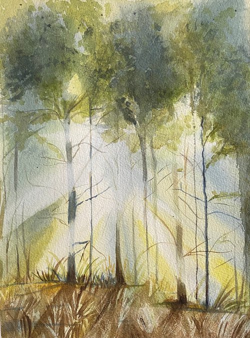 Sunlight through the trees by Maxine Taylor