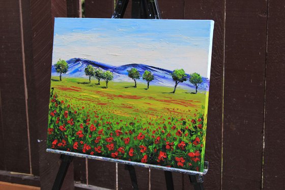 Napa Poppy Fields