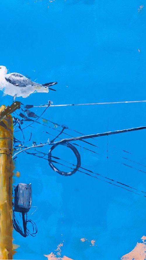 Manolita, the seagull by Carlos Martín