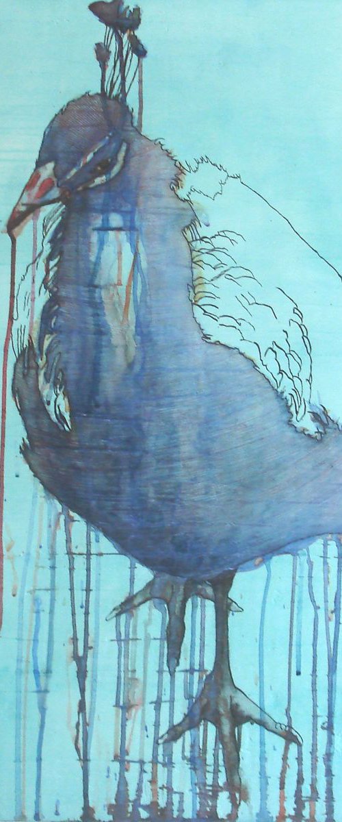 Peacock by Ricardo Machado