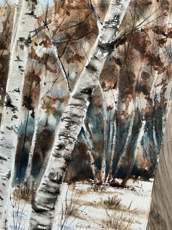Birch family , original watercolour
