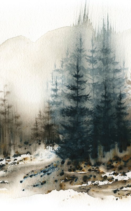 Places XII - Watercolor Pine Forest by ieva Janu