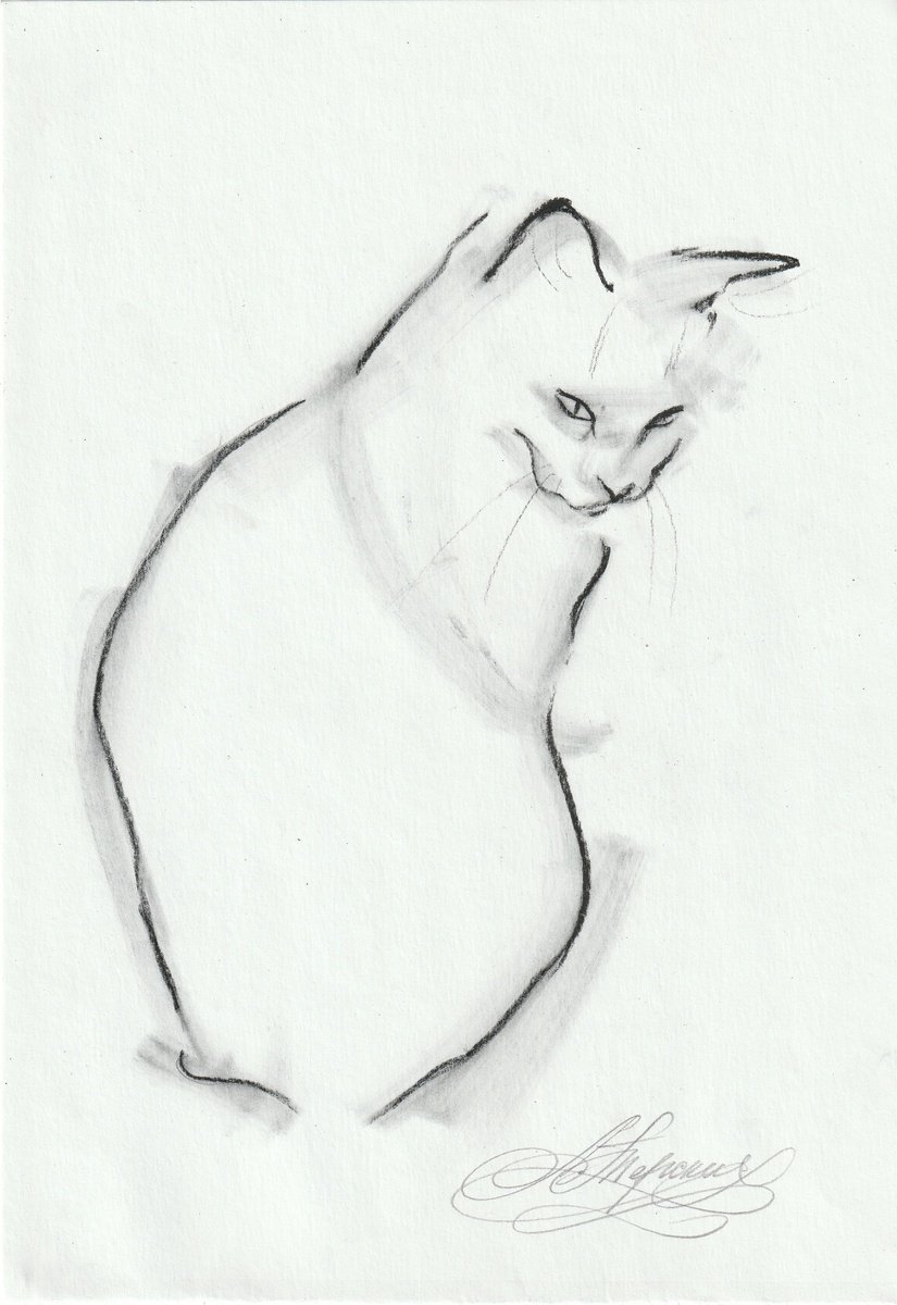 Animal Charcoal Drawing By Anastasia Terskih, 7 X 12, Cat, Original Artwork