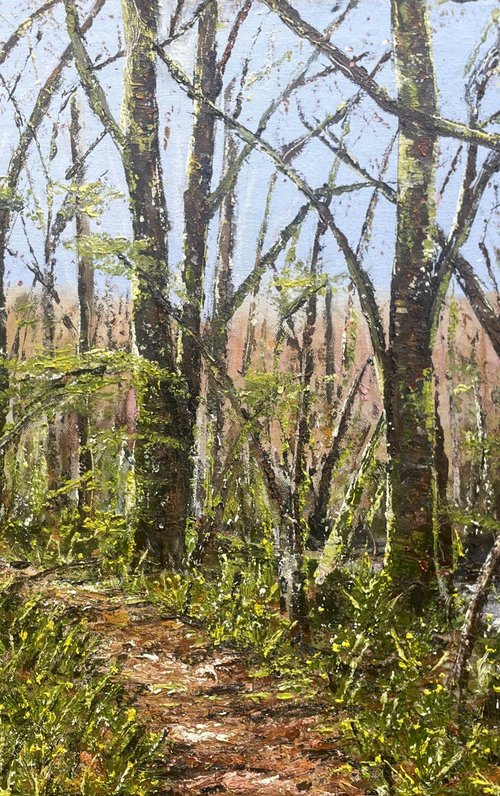 Early Spring, Dunsford Woods - Revisited by Lucy Smerdon