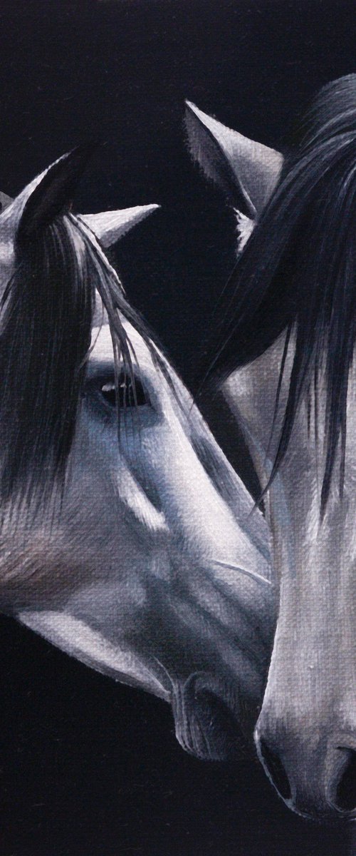 Horse Portrait 113 by Anastasia Parfilo