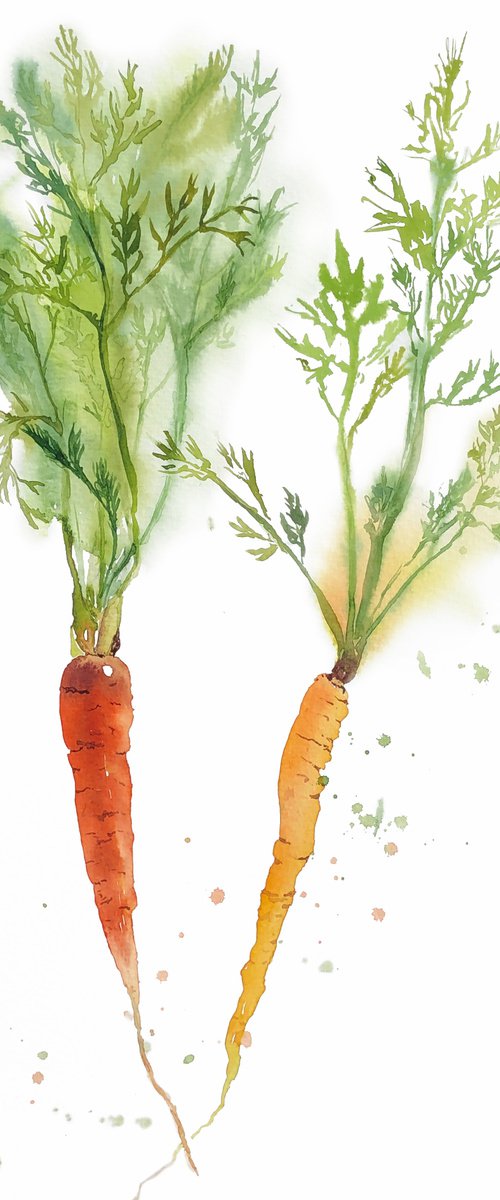 Carrots from my garden 2022. Original watercolor artwork. by Nataliia Kupchyk