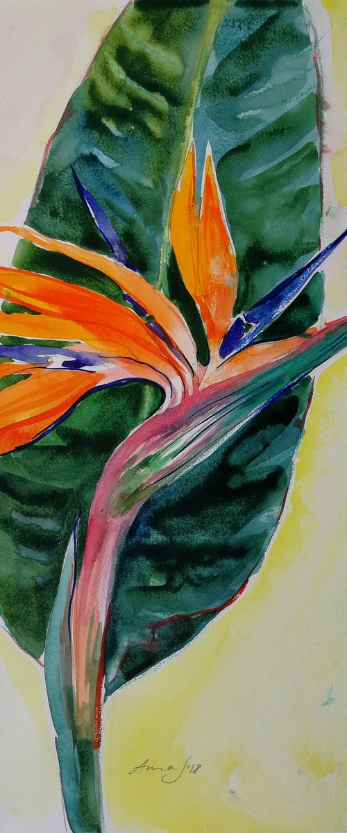 "Strelitzia Plant'' by Anna Silabrama