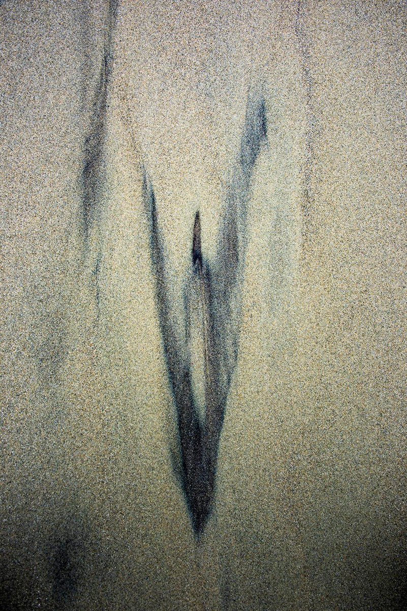 Sand_1081 by Morten Leine