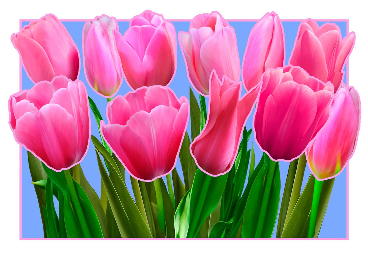 Pink Tulips by Rod Vass