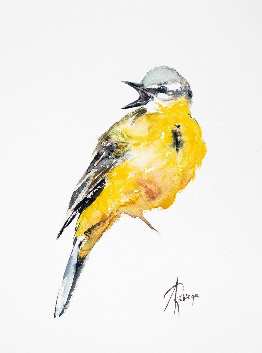 Animal Watercolour By Andrzej Rabiega, 9 X 12, Western Yellow Wagtail, Original Artwork