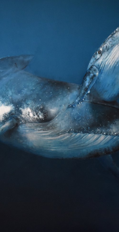 maternal bond by Trevor Salisbury