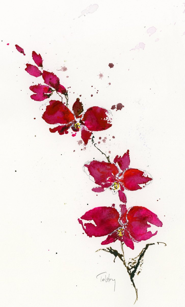 Impressionistic Botanical Watercolour By Alex Tolstoy, 7 X 12, Orchid 2, Original Artwork