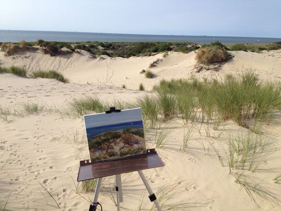 North sea dunes