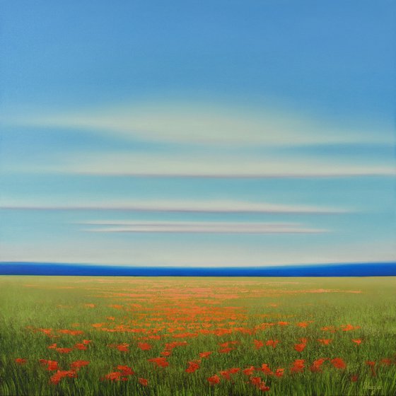 Field of Poppies - Blue Sky Landscape