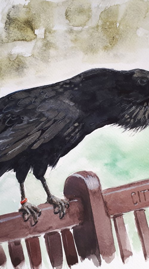 Raven of the Tower of London / FROM MY A SERIES OF BIRDS / ORIGINAL WATERCOLOR PAINTING by Salana Art Gallery