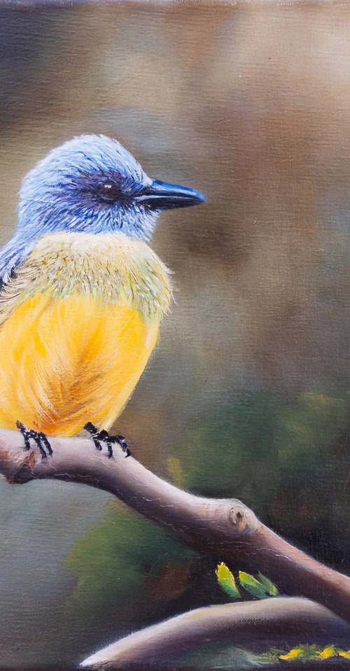Little yellow bird by Norma Beatriz Zaro