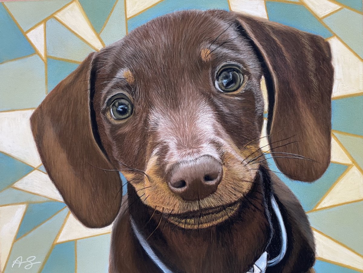 Photorealistic Animal Painting By Anne Shaughnessy, 14 X 11, Dachshund, Original Artwork
