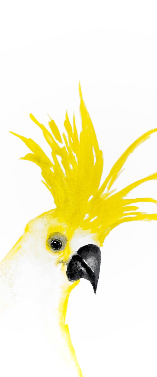 Bird by Nadia Moniatis