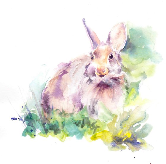 Eastern Cottontail Rabbit, original watercolour painting