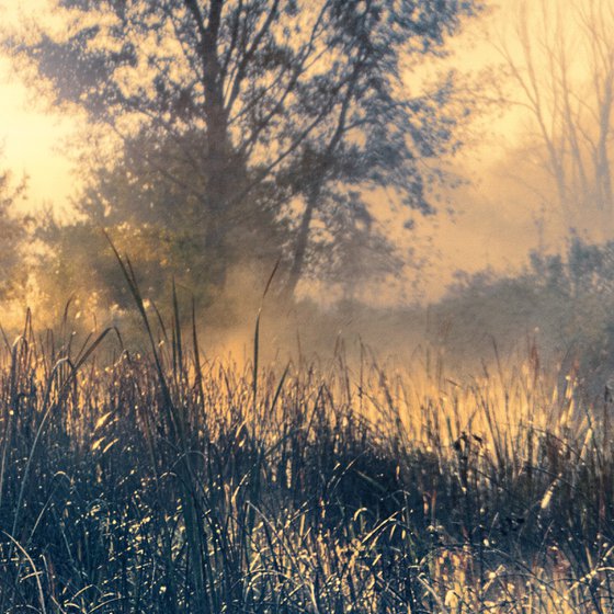 Panorama of autumn sunrise.