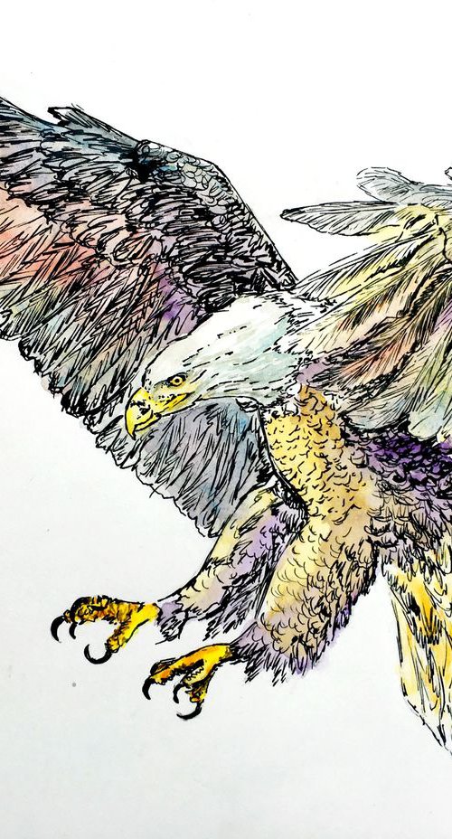 The Eagle by Ksenia Lutsenko