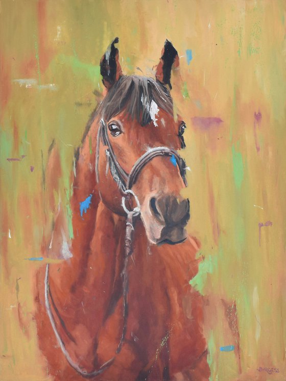 Willow - Horse painting - Oil On Canvas - 101cm x 76cm