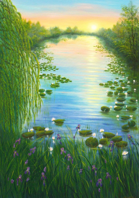 Water lily pond