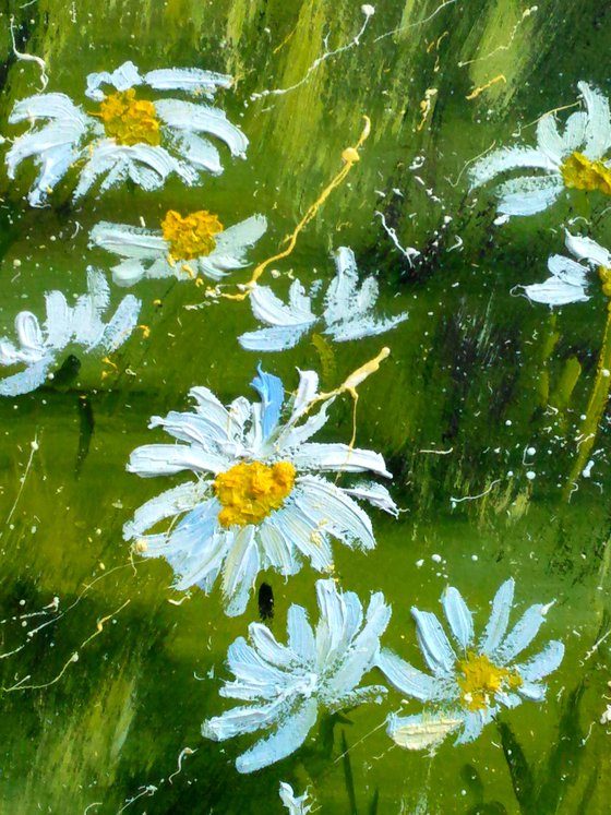 Daisy Painting Landscape Original Art Chamomile Oil Artwork Home Wall Art 12 by 16" by Halyna Kirichenko