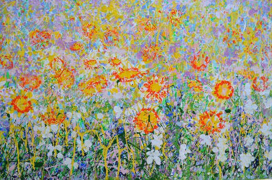 Daisy Blooms