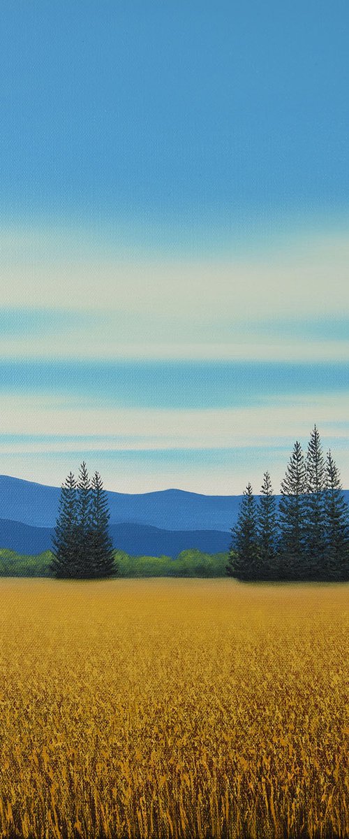 Gold Meadow - Blue Sky Landscape by Suzanne Vaughan