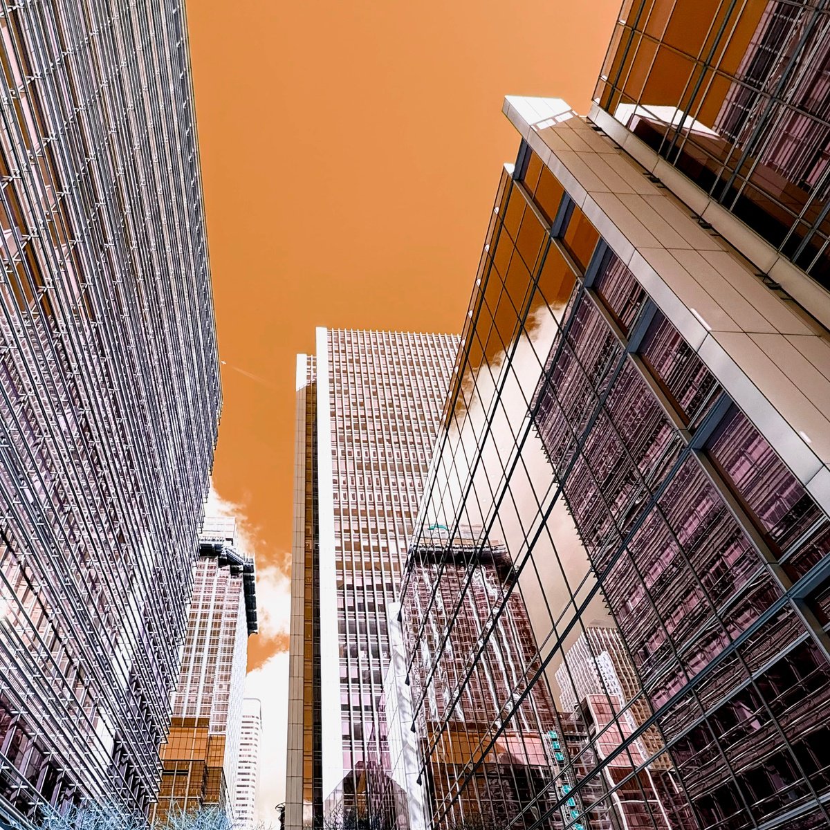 Cityscapes Photograph By Tatiana Zappa, 39 X 39", London 09, Original Artwork