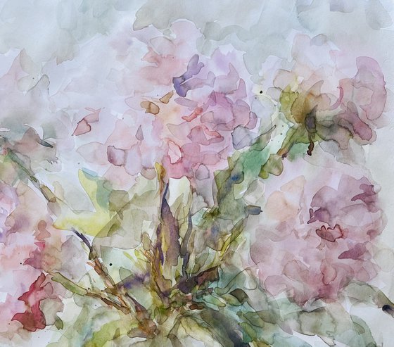 Peonies 50x65 cm 2025