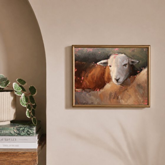 Herdwick Sheep Study