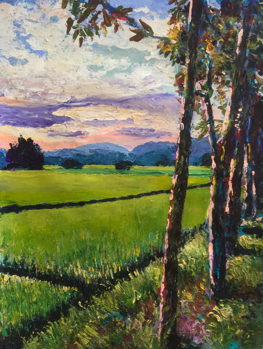 Rice fields, afternoon by John Cottee